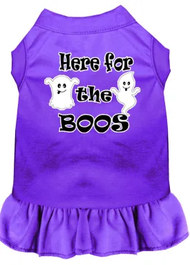 Here For The Boos Screen Print Dog Dress Purple 4x (22)